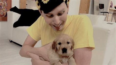 amazingphil dogs.